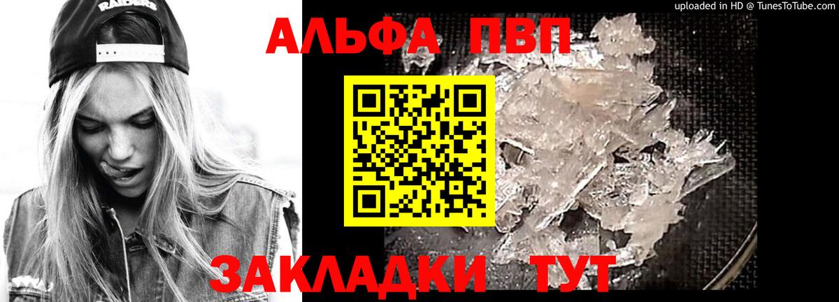 Альфа ПВП СК Камень-на-Оби