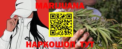 крисы Заводоуковск