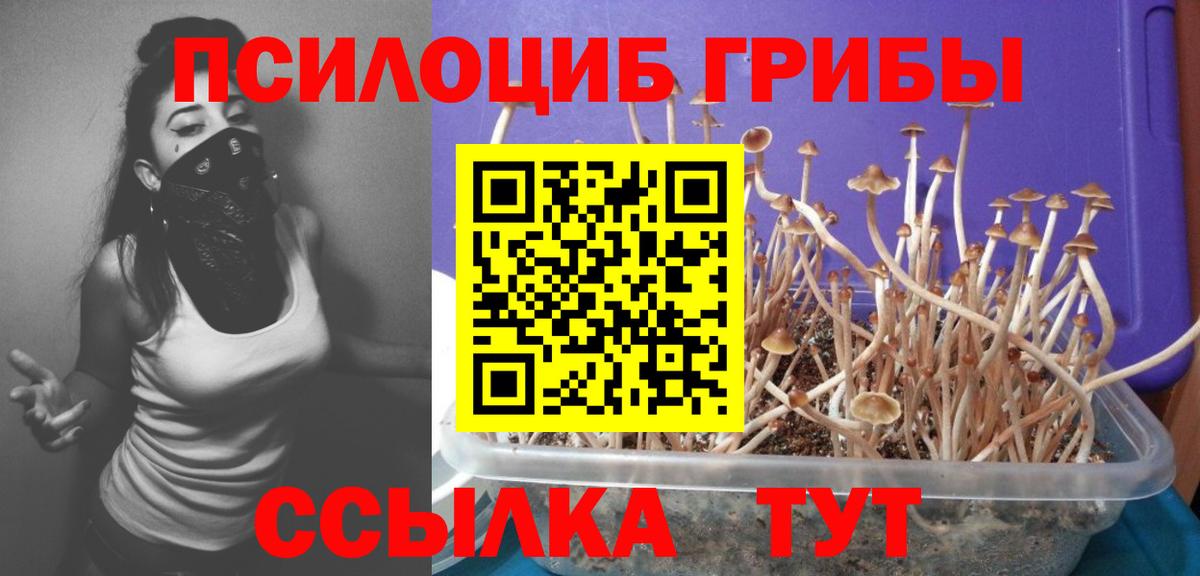 Псилоцибиновые грибы мухоморы  Вход с VPN  Камень-на-Оби 
